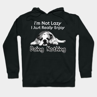I'm Not Lazy I Just Really Enjoy Doing Nothing Hoodie
